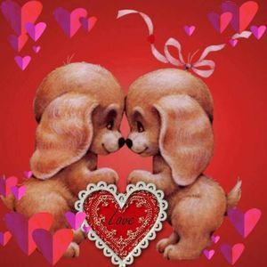 Meet your Posher, Roxanne